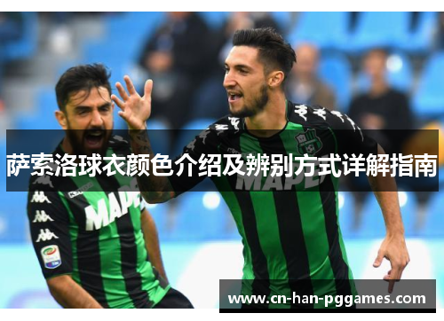 萨索洛球衣颜色介绍及辨别方式详解指南